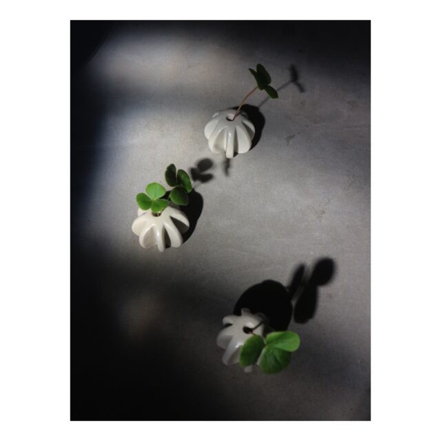 ・
・
・
Quietly, makers converge
𓊗 アリィの冬と夏 Re.17 – Reflorere
~ exhibitor introduction ~

◎ kumoma.｜普段使いの器・ブローチなど
📍 静岡県
@kumoma_km

トツトツ模様のシンプルな器、
縁に銀葉模様の入ったリム皿。
毎日使いたくなるうつわに加えて、
動物モチーフの一輪挿しも並びます。

春を待ちわびる2月。
静かなきらめきを、手元の暮らしに。

┈┈┈┈┈┈┈┈
📎 出展者の背景・情報は公式サイトにて
More details on our website — link in bio

@algvos_sub

—

アリィの冬と夏 Re.17 – 𝚁𝚎𝚏𝚕𝚘𝚛𝚎𝚛𝚎
🗓️ 2026年2月7日（土）– 8日（日）
📍 浜松卸商センター アルラ 全館ほか

#アリィの冬と夏2026
#Re17
#Reflorere
#陶器
#浜松イベント