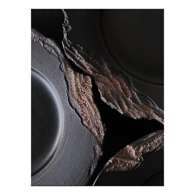 ・
・
・
Quietly, makers converge
𓊗 アリィの冬と夏 Re.17 – Reflorere
~ exhibitor introduction ~

◎ 佐藤タカツ｜陶（器・植木鉢）
📍 静岡
@takatsusato

「存在」を軸に、五感から立ち上がるかたち。
鉱物をイメージした -mineral- シリーズでは、
美しい壊れ方や質感が探求されています。

初出展となる今回。
ぜひ会場で、立体の存在感をご覧ください。

┈┈┈┈┈┈┈┈
📎 出展者の背景・情報は公式サイトにて
More details on our website — link in bio

@algvos_sub

—

アリィの冬と夏 Re.17 – 𝚁𝚎𝚏𝚕𝚘𝚛𝚎𝚛𝚎
🗓️ 2026年2月7日（土）– 8日（日）
📍 浜松卸商センター アルラ 全館ほか

#アリィの冬と夏2026
#Re17
#Reflorere
#陶器
#浜松イベント