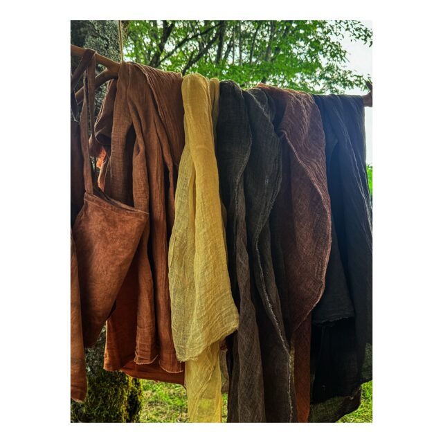 ・
・
・
Quietly, makers converge
𓊗 アリィの冬と夏 Re.17 – 𝚁𝚎𝚏𝚕𝚘𝚛𝚎𝚛𝚎
~ exhibitor introduction ~

◎ 茶染屋 鵜飼真理｜手ぬぐい・バッグ・大判布・継ぎ布
📍 静岡県
@mari_ugai_

静岡のお山で生まれる、茶染めの布。
お茶づくりの過程で出るものを分けてもらい、
薪と沢水で煮出して染料に。

お山の恵みを、布の上へ。
最近は柿渋染めも加わり、
日常に寄り添う布ものが並びます。

気負わず、毎日の中で。
手に取るたび、自然の気配を感じていただけたら。

┈┈┈┈┈┈┈┈
📎 出展者の背景・情報は公式サイトにて
More details on our website — link in bio

@algvos_sub

—

アリィの冬と夏 Re.17 – 𝚁𝚎𝚏𝚕𝚘𝚛𝚎𝚛𝚎
🗓️ 2026年2月7日（土）– 8日（日）
📍 浜松卸商センター アルラ 全館ほか

#アリィの冬と夏2026
#Re17
#Reflorere
#茶染め
#染織