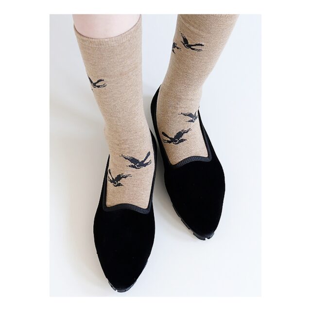 ・
・
・
Quietly, makers converge
𓊗 アリィの冬と夏 Re.17 – 𝚁𝚎𝚏𝚕𝚘𝚛𝚎𝚛𝚎
~ exhibitor introduction ~

◎ hacu｜靴下
📍 愛知県
@hacusan

“履く”ことに由来する、靴下のhacu。
home / amuse / cute / useful
4つのコンセプトを込めた
「シンプルでちょっとかわいい」一足が並びます。

前回に続き、再会の浜松。
日常にほんの少し光がさすような靴下とともに。
足もとから始まる、やわらかな時間を。

┈┈┈┈┈┈┈┈
📎 出展者の背景・情報は公式サイトにて
More details on our website — link in bio

@algvos_sub

—

アリィの冬と夏 Re.17 – 𝚁𝚎𝚏𝚕𝚘𝚛𝚎𝚛𝚎
🗓️ 2026年2月7日（土）– 8日（日）
📍 浜松卸商センター アルラ 全館ほか

#アリィの冬と夏2026
#Re17
#Reflorere
#靴下
#ファッション