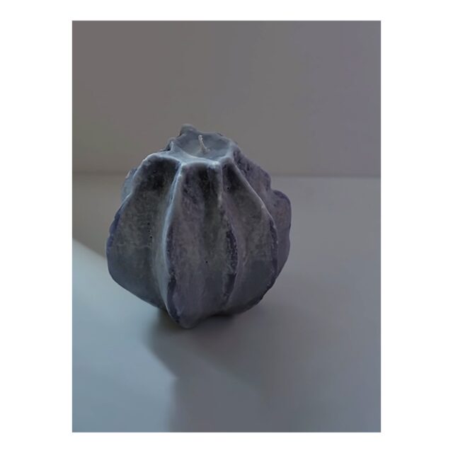 ・
・
・

Quietly, makers converge
𓊗 アリィの冬と夏 Re.17 – 𝚁𝚎𝚏𝚕𝚘𝚛𝚎𝚛𝚎
~ exhibitor introduction ~

◎ Atelier murmurer｜蝋燭・蝋のオブジェクト
📍 愛知県
@murmurer_candle 

「飾る・灯す・香る・そして想う」。
植物と蝋が奏でる
暮らしの余白にそっと佇む蝋燭を制作しています。

質感や色、かたち、香りまで
ひとつとして同じもののない存在。
心を静め
明日へ向かう力をそっと満たす灯りを。

Reflorere ― 心に小さな春が訪れますように。
初めてのアリィで
みなさまにお会いできることを楽しみにしています。

┈┈┈┈┈┈┈┈
📎 出展者の背景・情報は公式サイトにて
More details on our website — link in bio

@algvos_sub

—

#アリィの冬と夏2026
#Re17
#Reflorere
#キャンドル
#浜松イベント